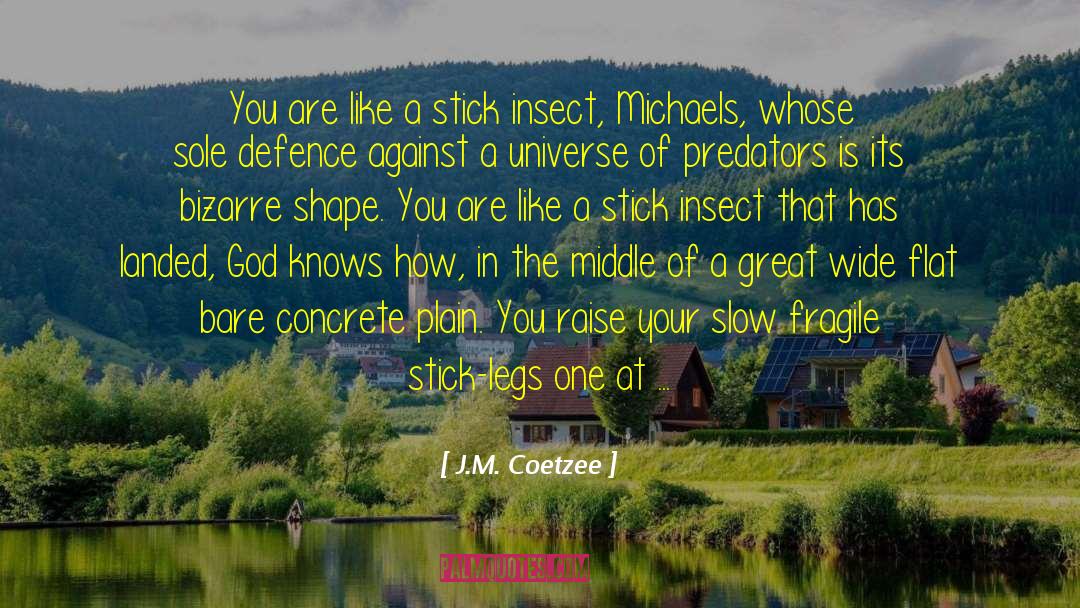 Insect quotes by J.M. Coetzee