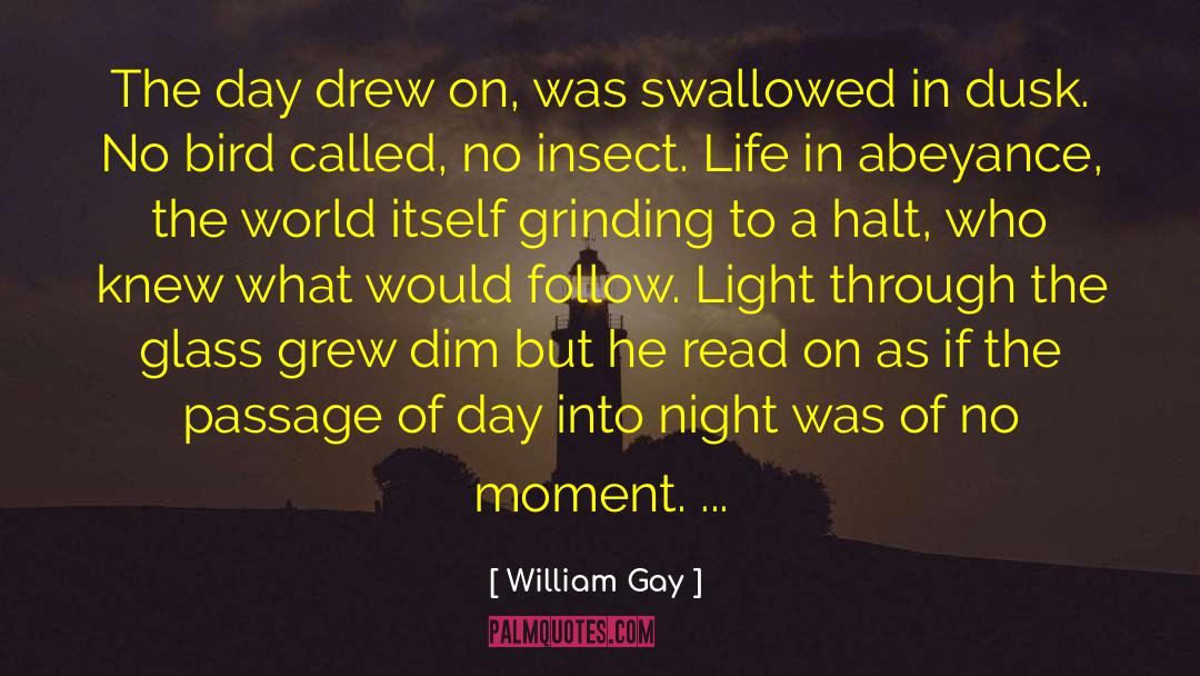 Insect quotes by William Gay
