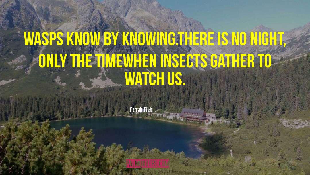 Insects quotes by Farrah Field