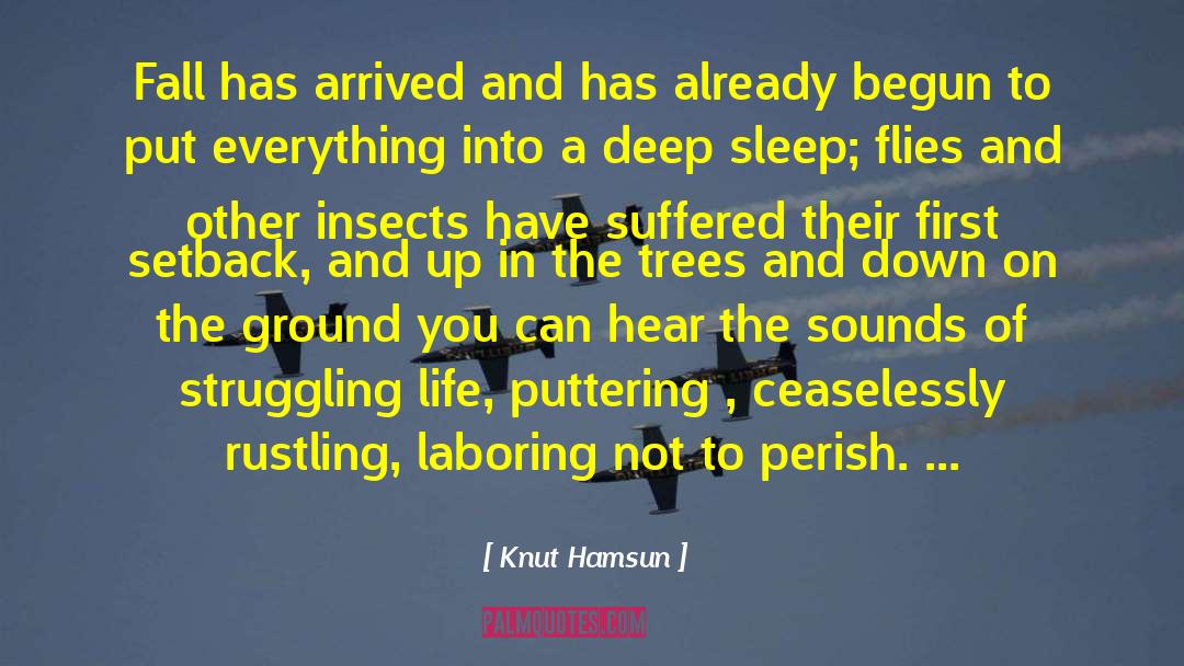 Insects quotes by Knut Hamsun