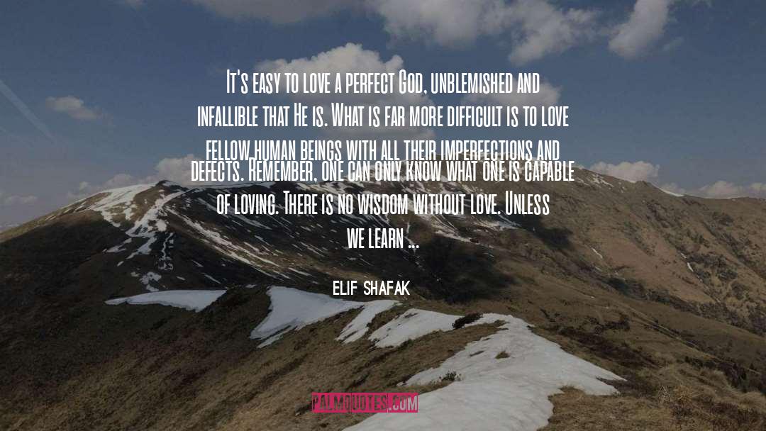 Insecure Imperfections quotes by Elif Shafak