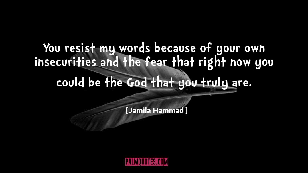 Insecurities quotes by Jamila Hammad