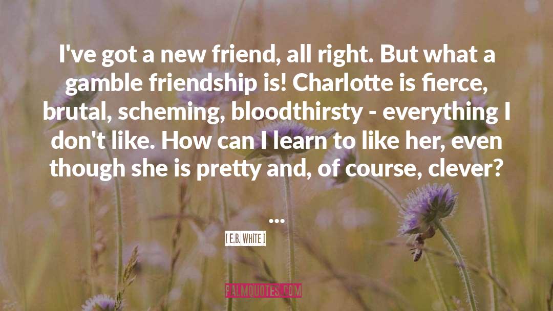 Insecurity And Friendship quotes by E.B. White