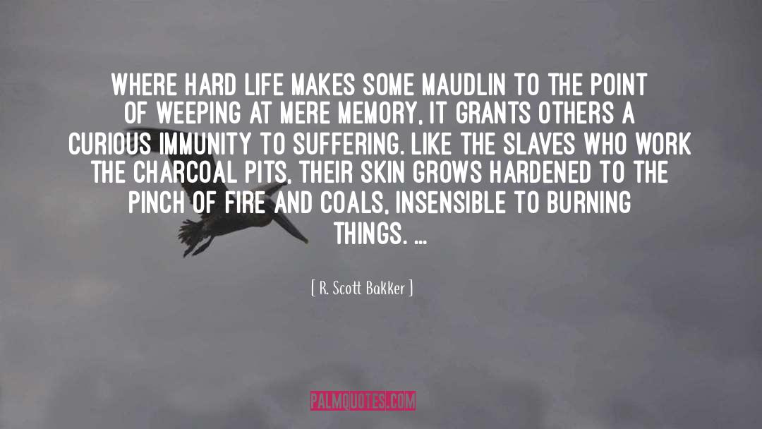 Insensible quotes by R. Scott Bakker