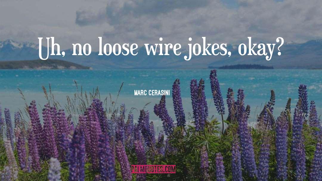 Insensitive Jokes quotes by Marc Cerasini