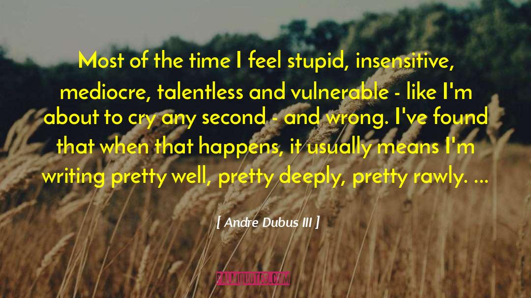Insensitive quotes by Andre Dubus III