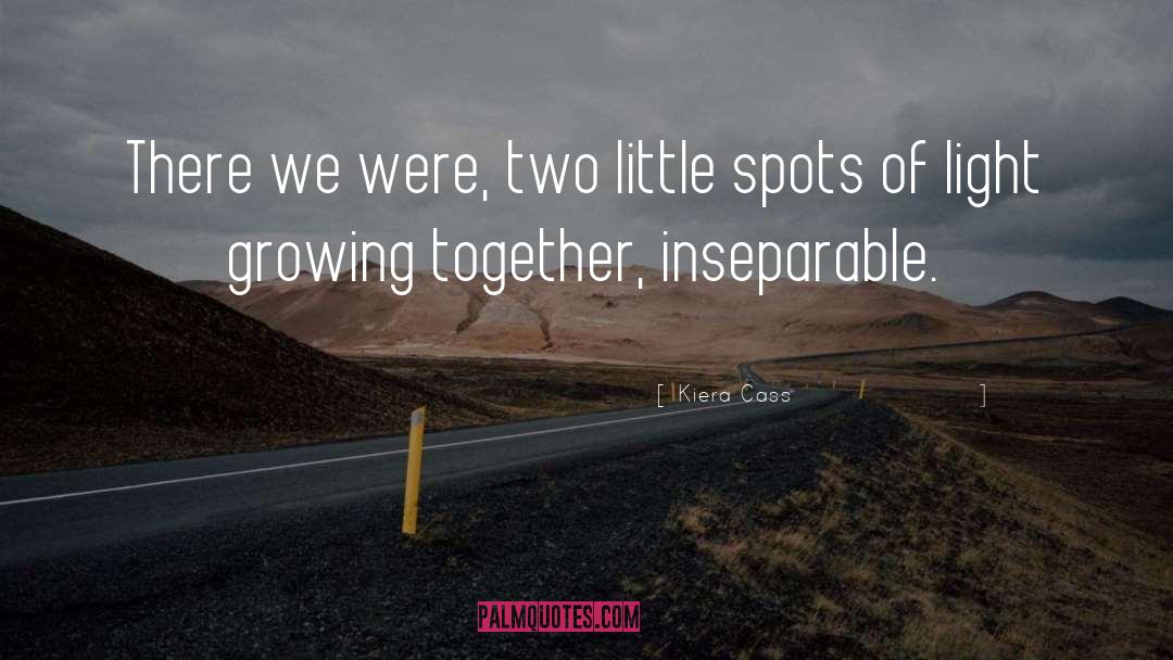 Inseparable Brothers quotes by Kiera Cass