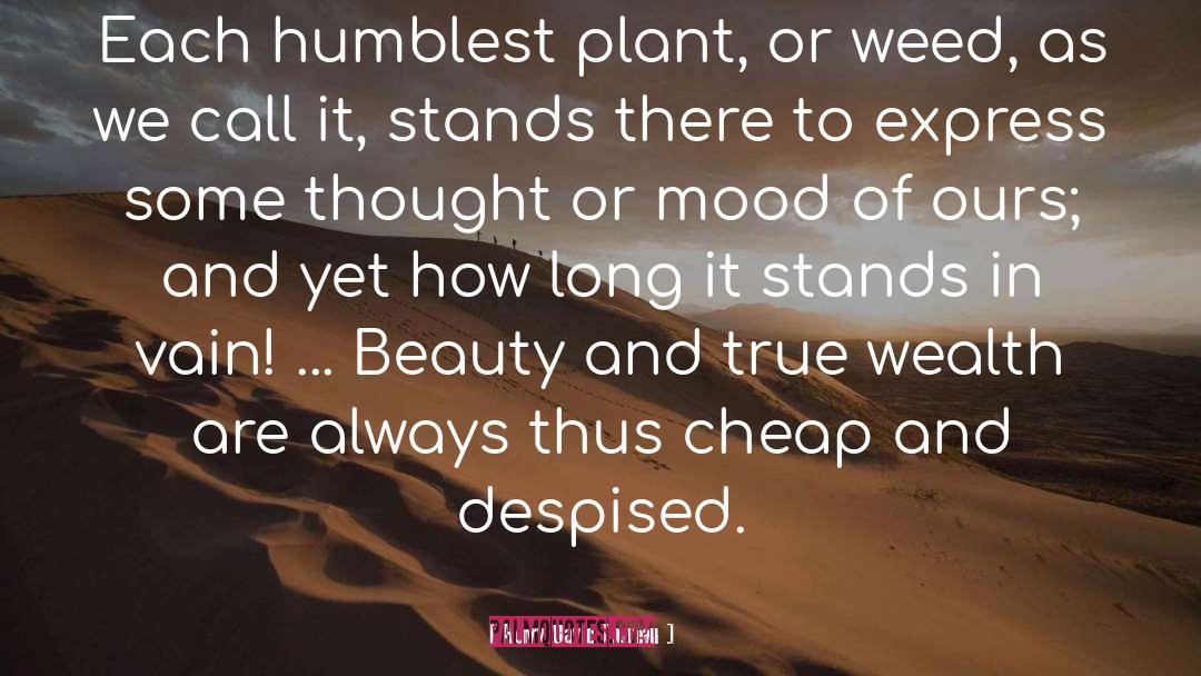 Inside Beauty quotes by Henry David Thoreau