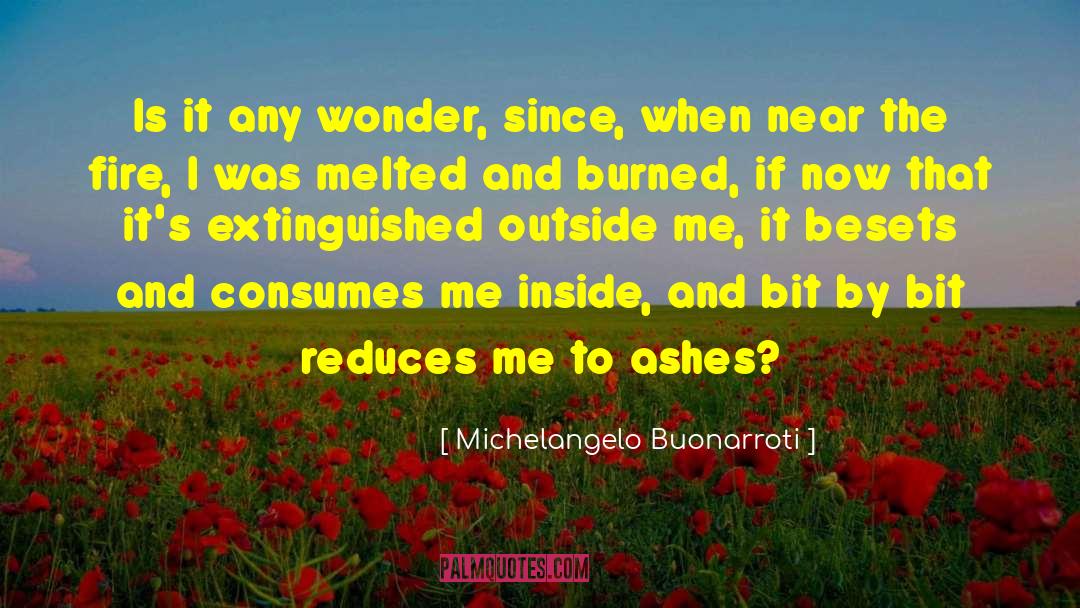Inside Jokes quotes by Michelangelo Buonarroti
