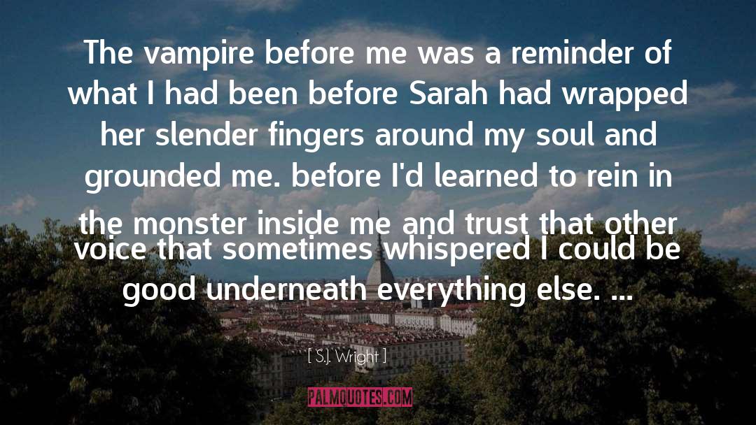 Inside Me quotes by S.J. Wright