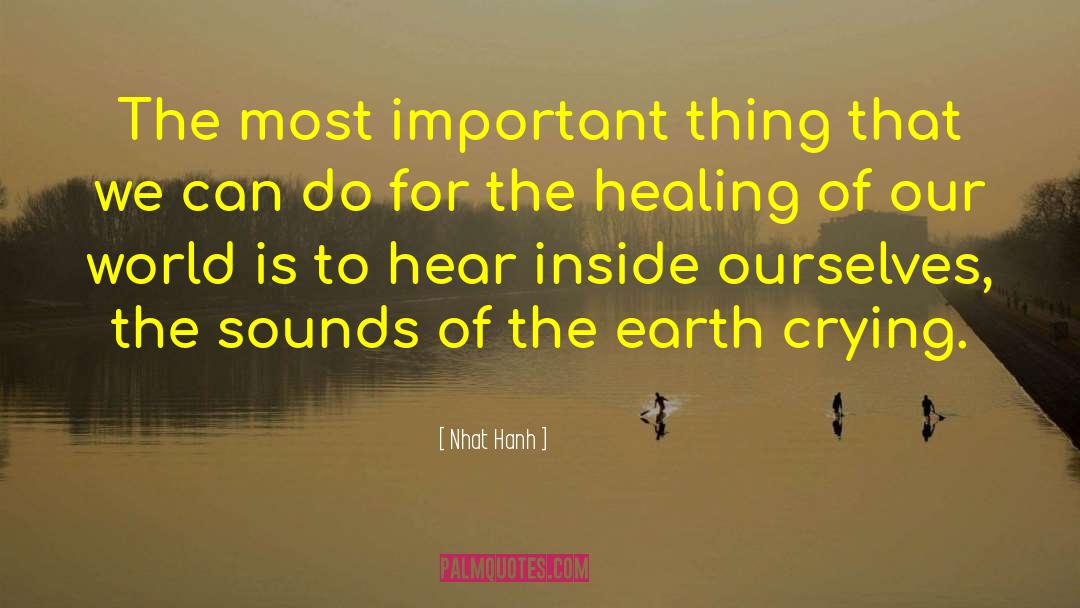 Inside Ourselves quotes by Nhat Hanh