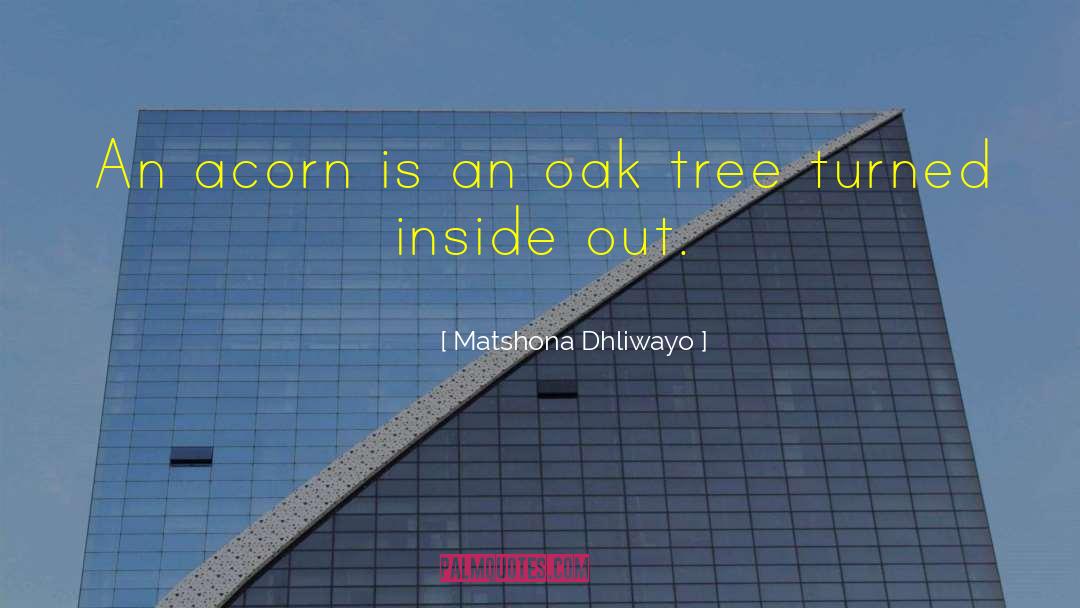 Inside Out Trilogy quotes by Matshona Dhliwayo