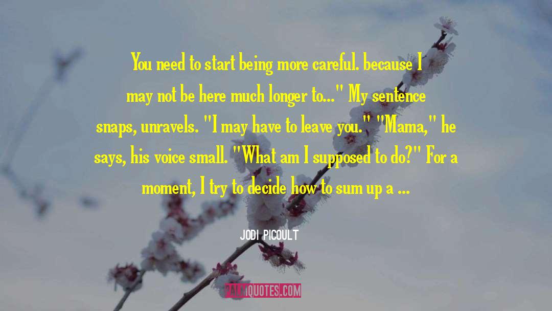 Insidiously In A Sentence quotes by Jodi Picoult