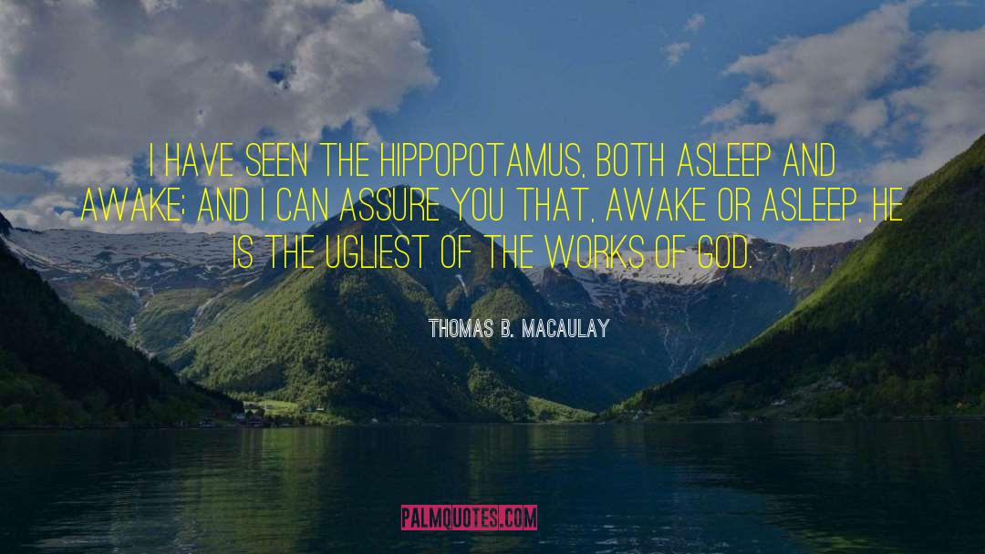 Insight Awake quotes by Thomas B. Macaulay