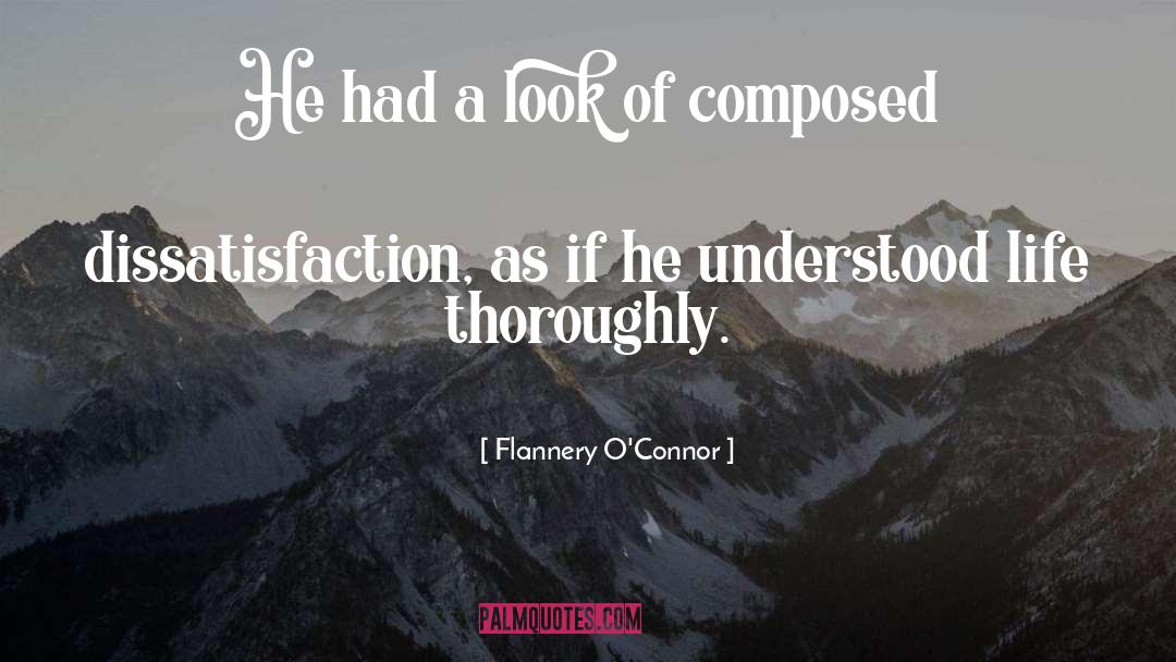 Insight Series quotes by Flannery O'Connor