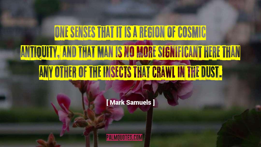 Insignificance Of Man quotes by Mark Samuels