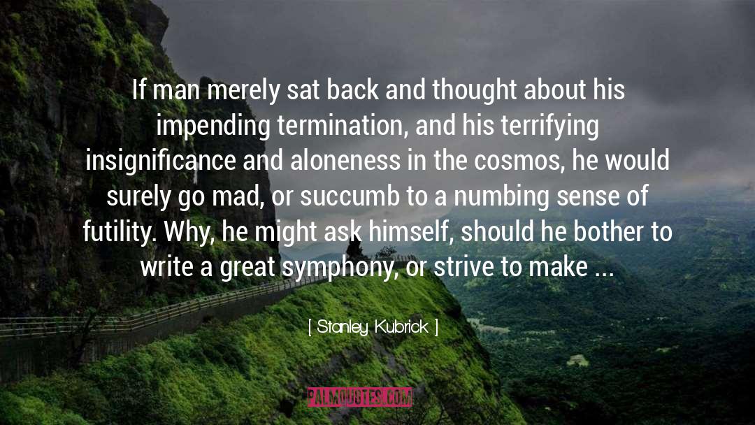 Insignificance quotes by Stanley Kubrick