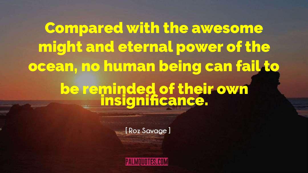 Insignificance quotes by Roz Savage