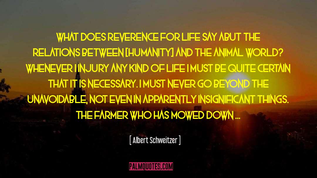 Insignificant Things quotes by Albert Schweitzer