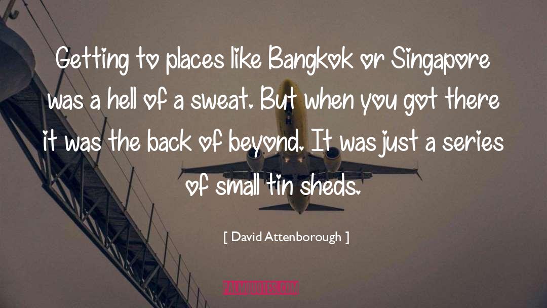 Insignificantly Small quotes by David Attenborough