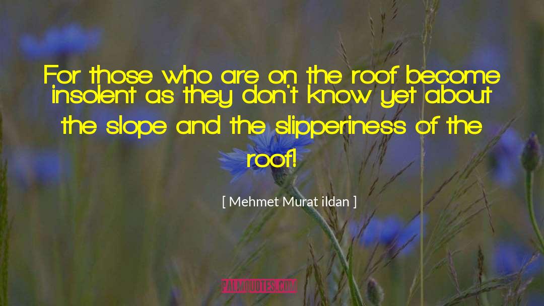 Insolent quotes by Mehmet Murat Ildan