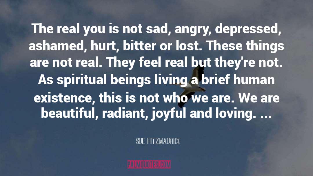 Insomnia And Depression quotes by Sue Fitzmaurice
