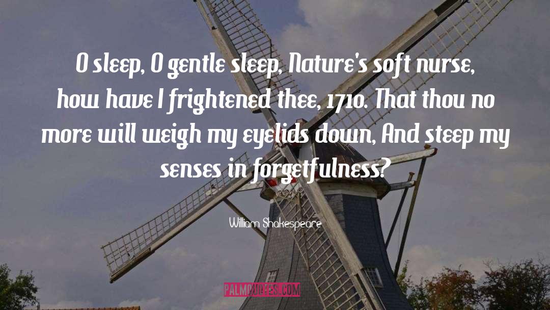 Insomniac quotes by William Shakespeare