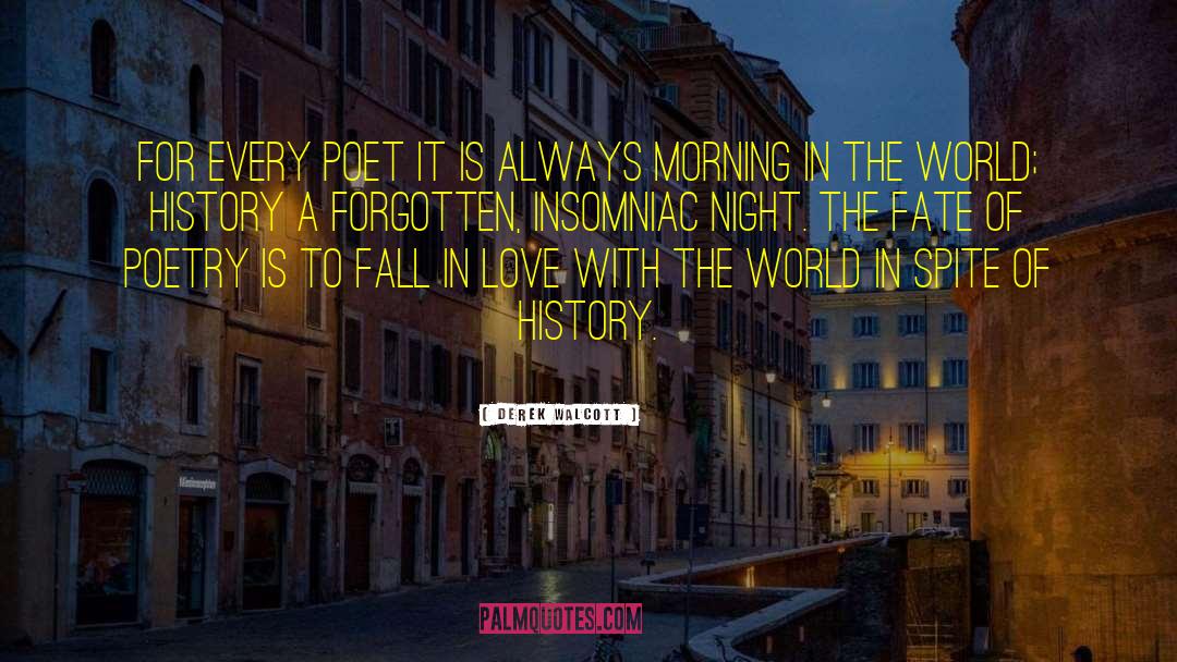 Insomniac quotes by Derek Walcott