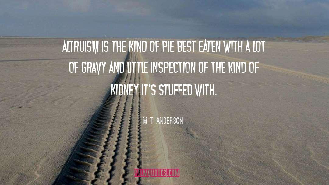 Inspection quotes by M T Anderson