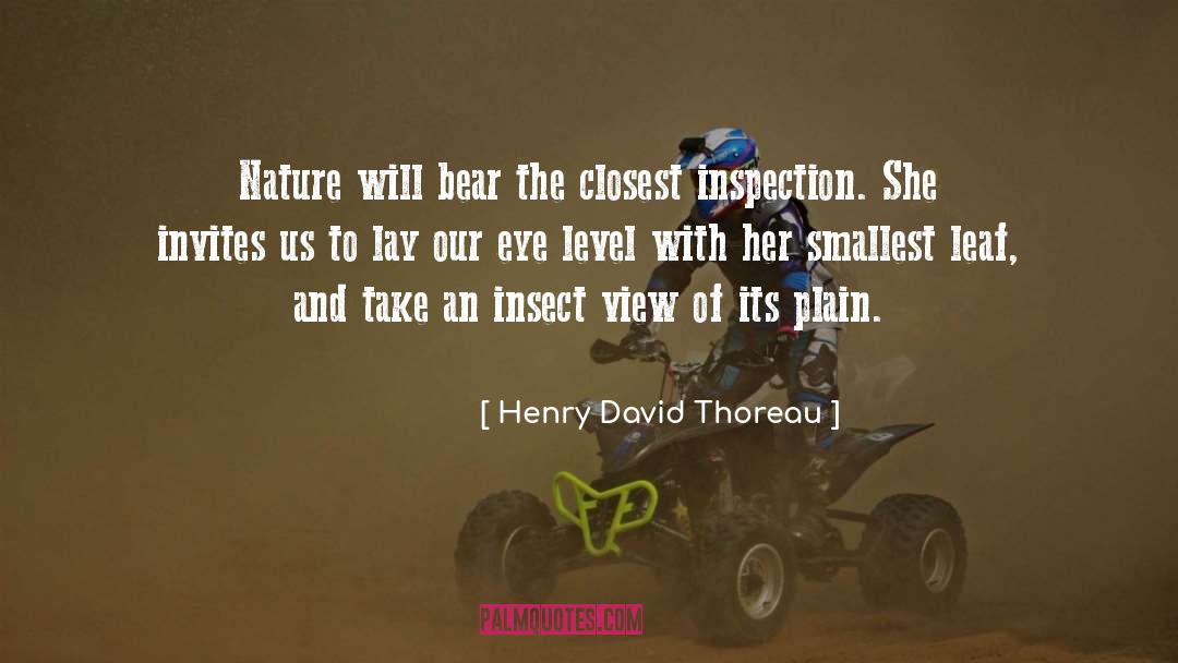 Inspection quotes by Henry David Thoreau