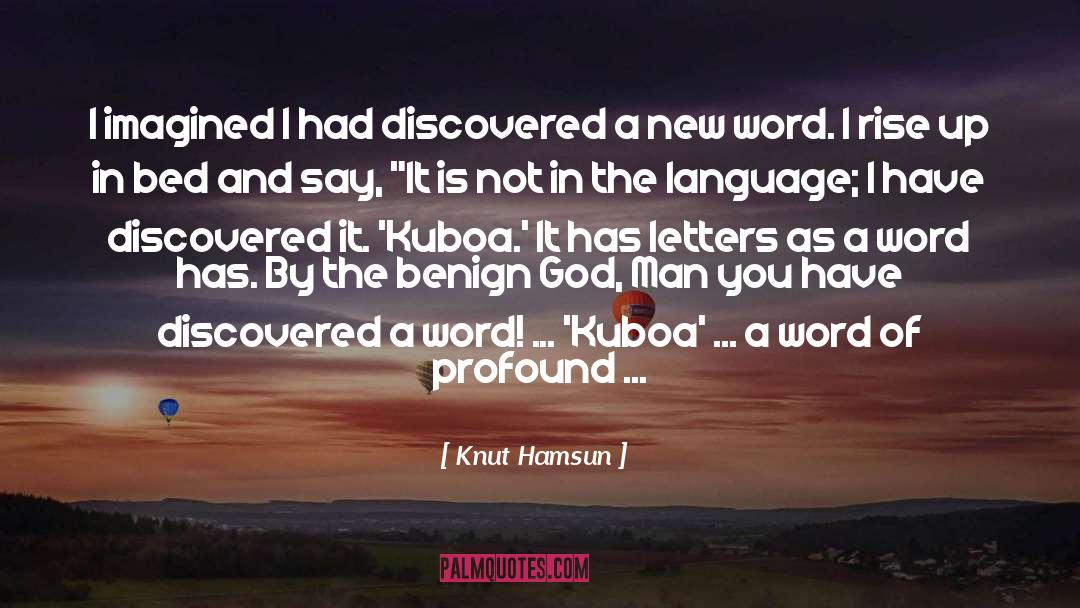 Insperational Thoughts quotes by Knut Hamsun