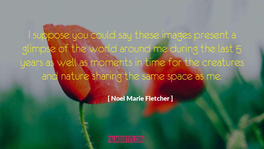 Inspiration For Artists quotes by Noel Marie Fletcher