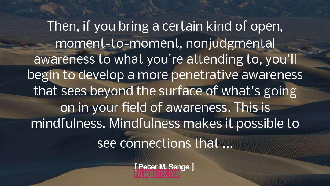 Inspiration Mindfulness quotes by Peter M. Senge