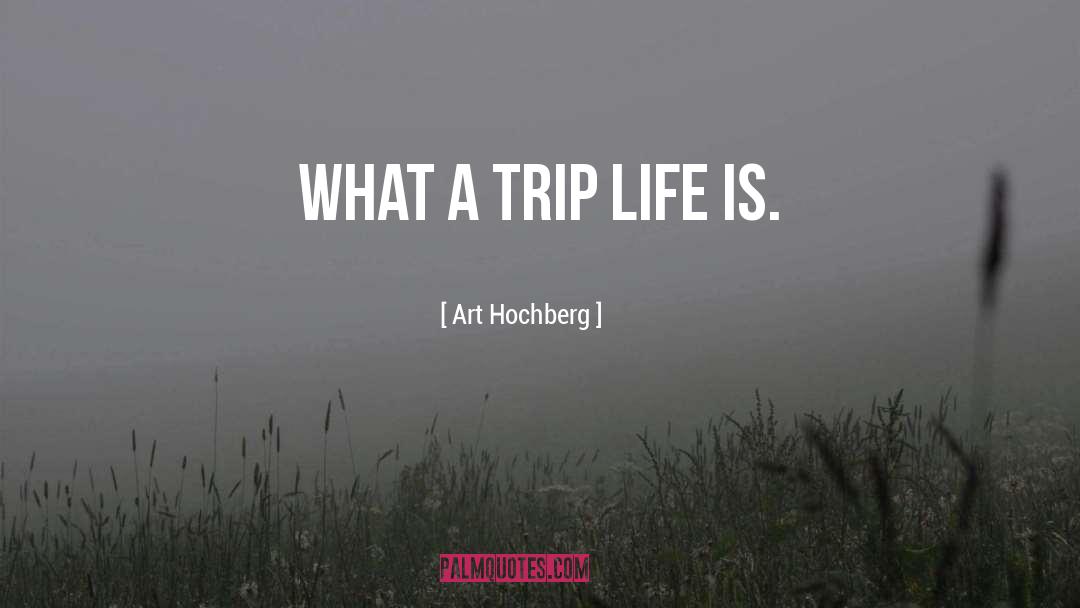 Inspirational Art quotes by Art Hochberg