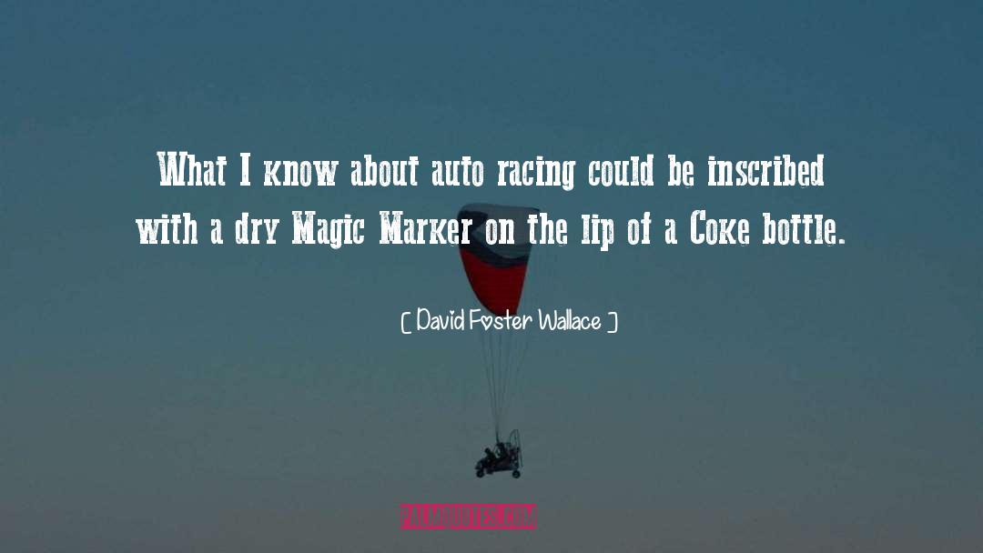Inspirational Auto Racing quotes by David Foster Wallace