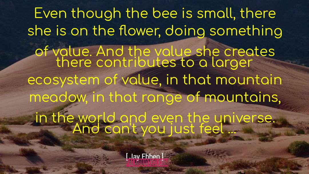 Inspirational Bee quotes by Jay Ebben