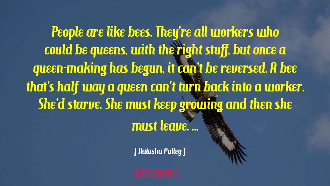 Inspirational Bee quotes by Natasha Pulley