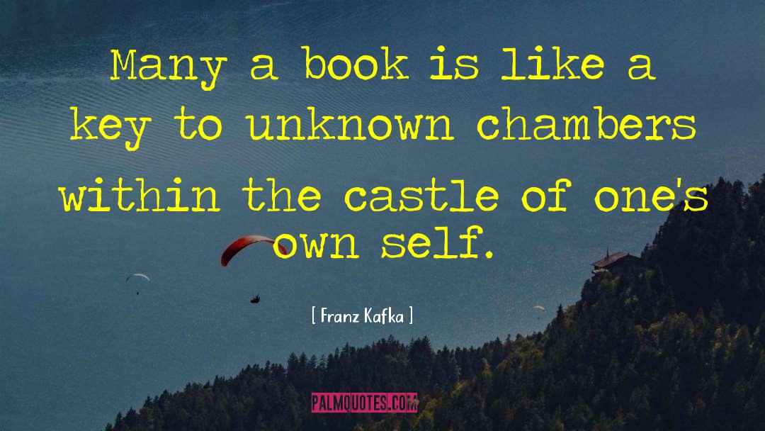 Inspirational Book quotes by Franz Kafka