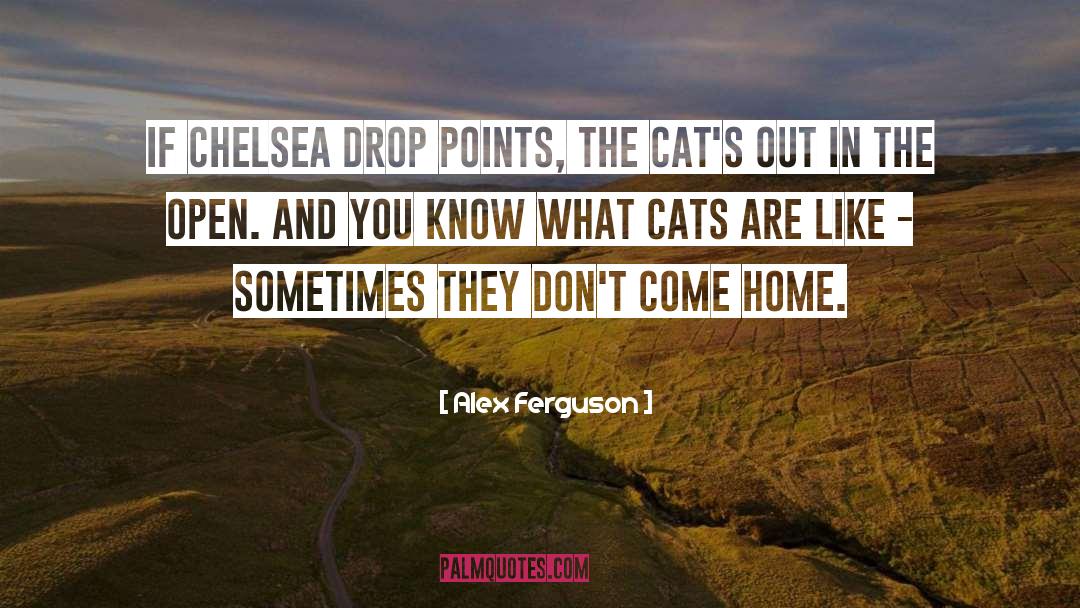 Inspirational Cat quotes by Alex Ferguson