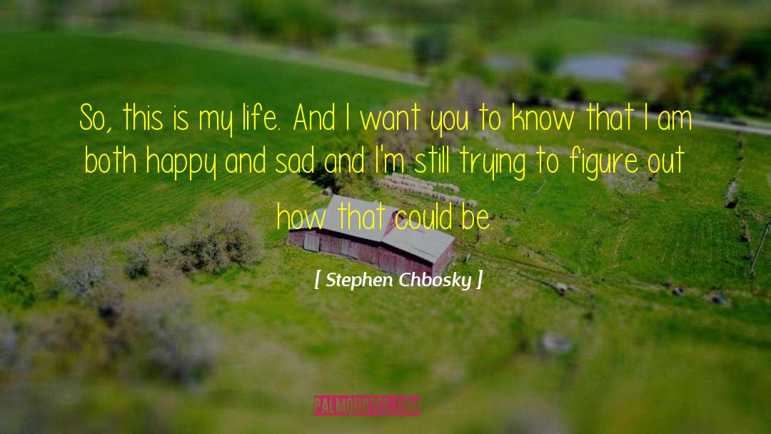 Inspirational Cat quotes by Stephen Chbosky