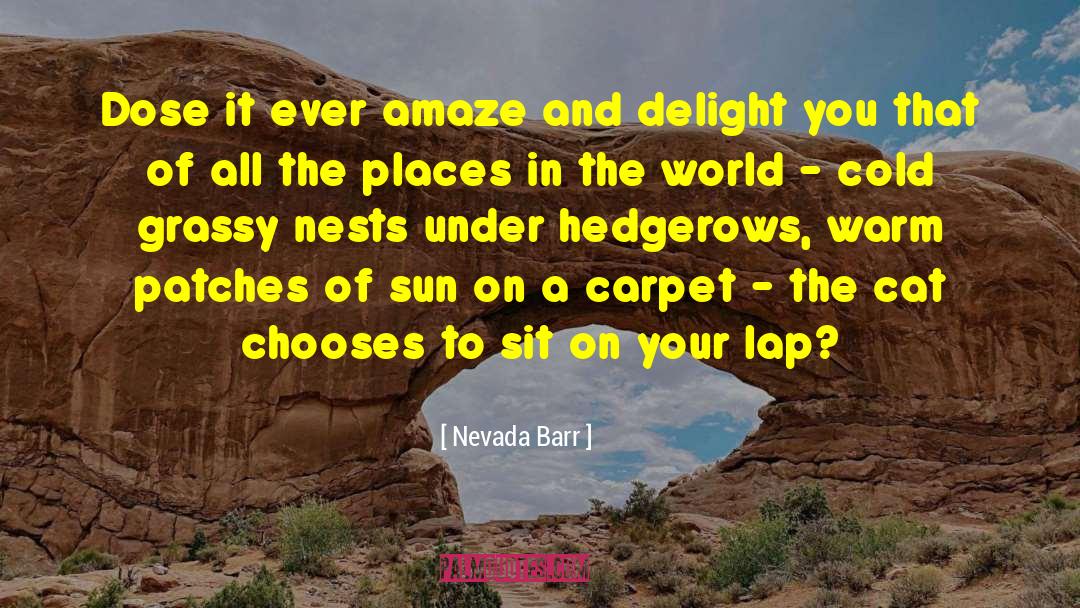 Inspirational Cat quotes by Nevada Barr
