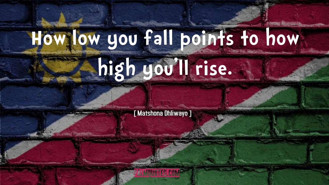 Inspirational Consulting quotes by Matshona Dhliwayo