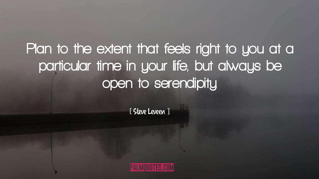 Inspirational Contemporary quotes by Steve Leveen