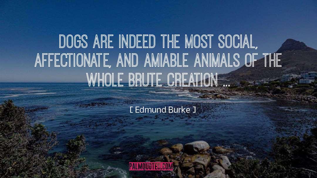 Inspirational Dog quotes by Edmund Burke