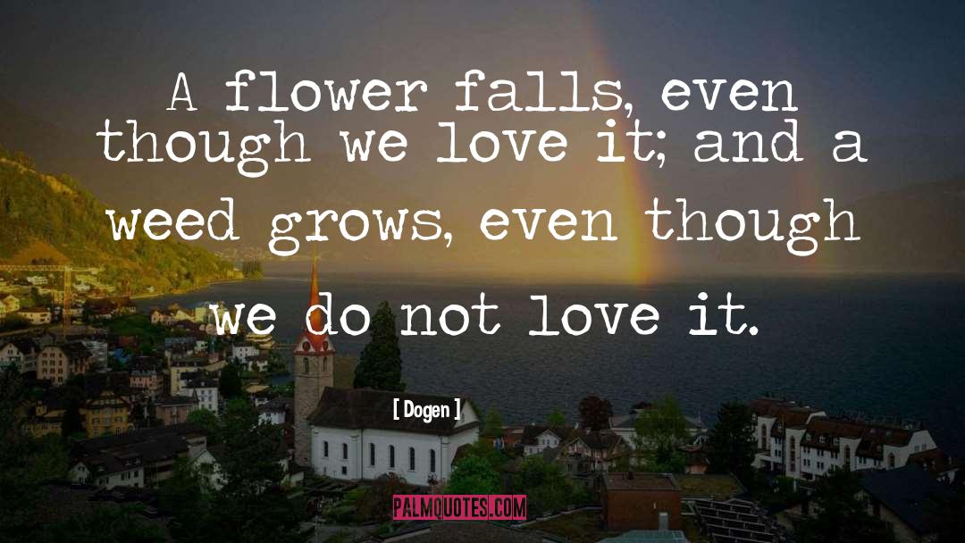 Inspirational Flower quotes by Dogen