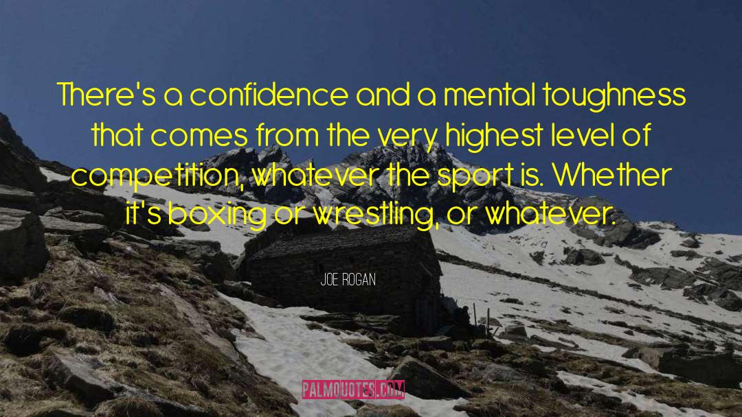 Inspirational Gaa Sports quotes by Joe Rogan