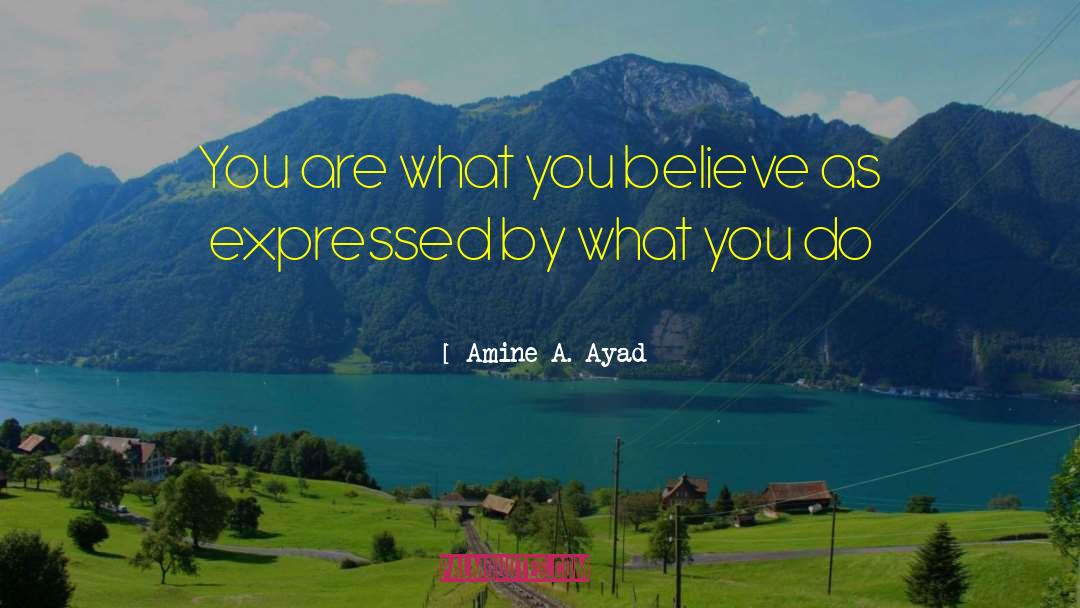 Inspirational Gems quotes by Amine A. Ayad