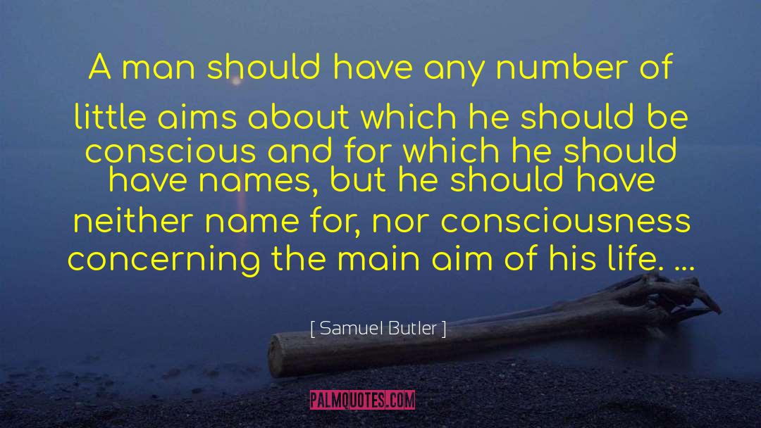 Inspirational Goal quotes by Samuel Butler