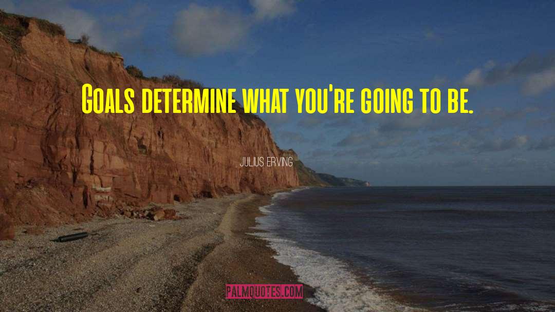 Inspirational Goal Setting quotes by Julius Erving