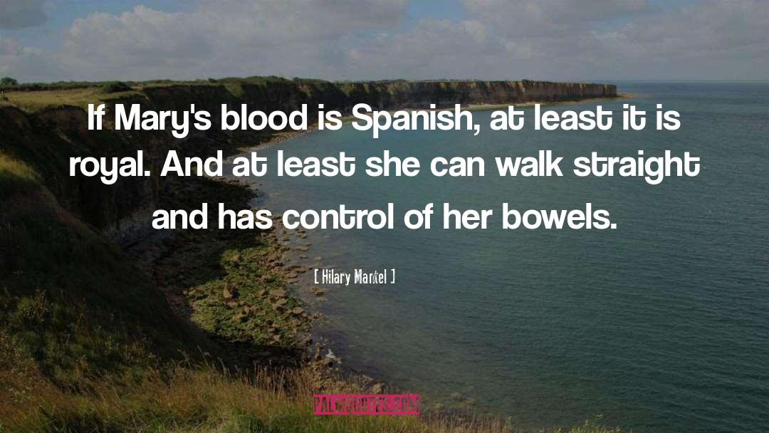 Inspirational Historical Fiction quotes by Hilary Mantel